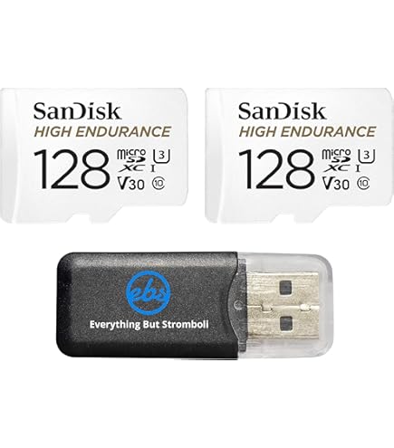 Amazon.com: 2-Pack SanDisk High Endurance Video Monitoring